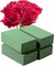 Floral Foam Blocks 5.5x3.1x1.7 Inch Dried and Wet Flower Foam